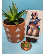 Dragon Ball Z - Chi-Chi #4 - Waterproof Anime Vinyl Sticker Decal - $8.13 CAD
