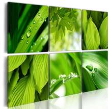 Tiptophomedecor Stretched Canvas Botanical Art - Fresh Green Leaves - Stretched  - £63.94 GBP+