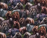 Cotton Bears Animals Cubs Woodland Brown Fabric Print by Yard D487.87 - $15.95