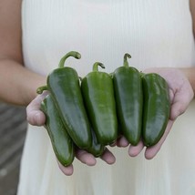 PM Park&#39;s Whopper Jalapeno Pepper Seeds (25+ Seed Package) - £3.54 GBP