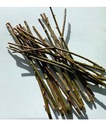 50 Hybrid Willow Cuttings is One of the Fastest Growing Tree - $651.17 MXN