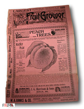 Rare  1899 The National Fruit Grower *Peach Trees* - £23.32 GBP