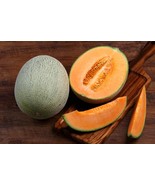 100 Organic Cantaloupe Melon Seeds - Hales Best Jumbo Non-GMO Garden Seeds - £9.53 GBP