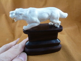 (tb-saber-4) wild saber tooth Tiger cat Tagua NUT palm figurine Bali carving - £55.46 GBP