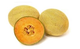 30 seeds Arizona Magnificent Cantaloupe Quick Turnaround for Planting - £7.63 GBP