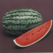 Bulk 50 Seeds Competition Watermelon Cross Medicinal Fresh Garden - £7.79 GBP