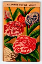 1920&#39;s Flower Art Print BALSAMINE DOUBLE Lithograph Original Made For Se... - £9.36 GBP