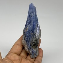 161g,4.5&quot;x1.6&quot;x1.4&quot;,Blue Kyanite Quartz  Mineral Specimen @Brazil, B32886 - £27.58 GBP