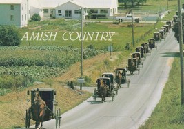 Postcard Amish Country Funeral Line of Horses and Buggies Pennsylvania Unused - £4.75 GBP