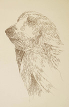 Afghan Hound Art Print Signed Kline Dog Lithograph #23 - £37.33 GBP