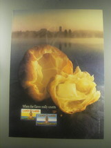 1985 Land O Lakes Butter Ad - When the flavor really counts - £14.29 GBP