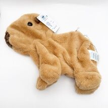Build A Bear Workshop Capybara Plush Unstuffed Animal NWT Limited Edition - €51,51 EUR