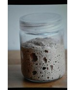 tangy very sour ORIGINAL WHARF SAN FRANCISCO SOURDOUGH STARTER tangy sour - $10.63 CAD