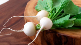 HS  500+ White Hailstone Radish Seeds For Garden Planting - USA  - £5.57 GBP