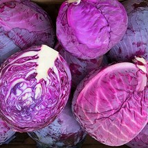 Cabbage Red Express Garden Seeds Gardening Vegetable Seeds Garden Seeds ... - £12.06 GBP