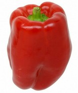 AD 25 Keystone Giant Sweet Pepper Seeds Home Garden - $18.19 CAD