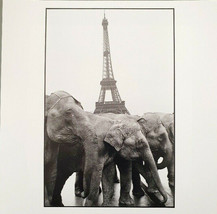 Guy El Querrec - Signed Photo - Magnum Square Print Limited Edition - £283.83 GBP