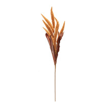 Harvest Foxtail Spray (Set of 2) - $51.66