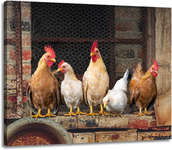 Kitchen Wall Art Chicken Decor - Farm Animal Rooster Picture on Canvas Prints fo - £16.51 GBP
