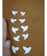 SW-1-N-2-52 Wholesale 10 (5left/right) 5/8&quot; modern Tiger Shark T**th DIY... - $37.63 CAD