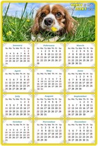 2022 Magnetic Calendar - Today is My Lucky Day - Dogs Themed 06 (5.25 x 8) - £7.90 GBP