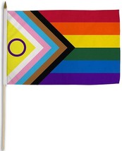Rainbow Inclusive Pride Flag - 12x18 Inch - £3.92 GBP
