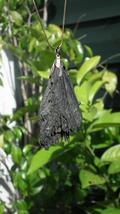 Black Kyanite pendant - $242.88 MXN+