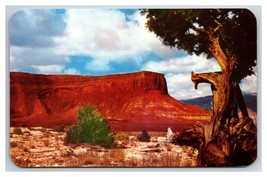 Red Cliffs Monument Valley Arizona AZ UNP Unused Chrome Postcard Z3 - £2.59 GBP