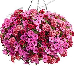 100 Seeds Hanging Petunia Flores Melissa Flower Plantas Flowers Bonsai Pot Color - £7.74 GBP