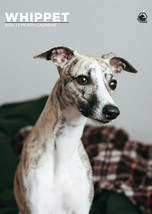 Whippet Calendar 2026 - $19.99