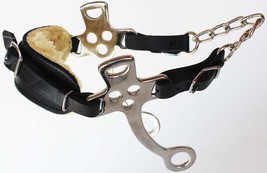 Horse Fleece Lined Adjustable Leather Bitless Bridle Curb Strap Hackamor... - $780.31 MXN