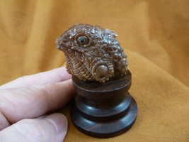 (tb-liz-7) Iguana Lizard head Tagua NUT palm figurine Bali detailed carving - $49.08