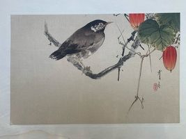 Seitei (Shotei) Watanabe Starling and Snake Gourd woodblock print - $279.30