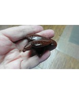 (Y-BIR-EA-ST-711) EAGLE eagles bird GOLDSTONE gem stone gemstone carving - €15,04 EUR