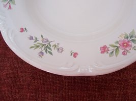 2 Pfaltzgraff Meadow Lane Rimmed Soup Bowls Made in the United States - £27.86 GBP