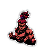 Akuma Street Fighter Sticker Vinyl Decal Waterproof Retro Gaming - $4.50+