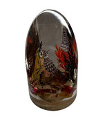 Vintage Owl Nature Scene Detailed Colorful Clear Acrylic Paperweight Dec... - €19,82 EUR