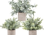 3 Pack Mini Potted Fake Plants Artificial Plastic Eucalyptus Plants Topi... - $47.99