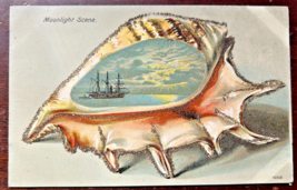 Moonlight Scene ~ Seashell Conch Border~1900s Mutual Book Co. Glitter Postcard - £6.31 GBP