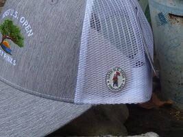 US Open Pinehurst CC 2024 124th Championship Hat / Lapel Pin Sale Price ... - $8.95