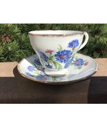 English Bone China Cup Saucer Salisbury England Fine English Porcelain T... - €9,84 EUR