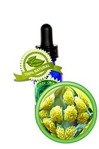 Helichrysum Essential Oil - 100% Pure (Helichrysum Italicum) - 30ml (1oz... - £96.35 GBP
