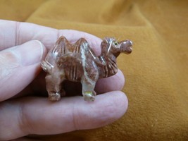 Y-CAM-9) Camel Camels Desert Red Soapstone Figurine Gemstone Carving Dromedary - £6.74 GBP