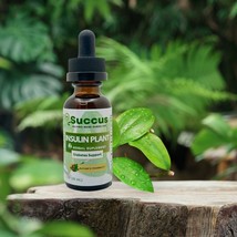 Insulin Plant Tincture (High Quality) -Alcohol Free - £11.59 GBP