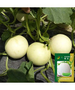 Haoyu Sweet Melon White-Skin Jade-Green Flesh High Brix - $795.21 MXN