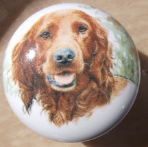 Ceramic Cabinet Knobs Knob w/ Irish Setter DOG #3 monic - £3.48 GBP