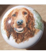 Ceramic Cabinet Knobs Knob w/ Irish Setter DOG #3 monic - $6.04 CAD