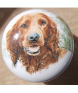 Ceramic Cabinet Knobs Knob w/ Irish Setter DOG #3 monic - £3.48 GBP