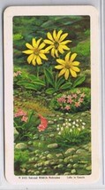 Brooke Bond Red Rose Tea Cards The Arctic #26 Summer Floral Carpet - $0.98