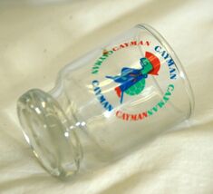 Cayman Whiskey Glass Turtle Pub Bar Barware - $12.86